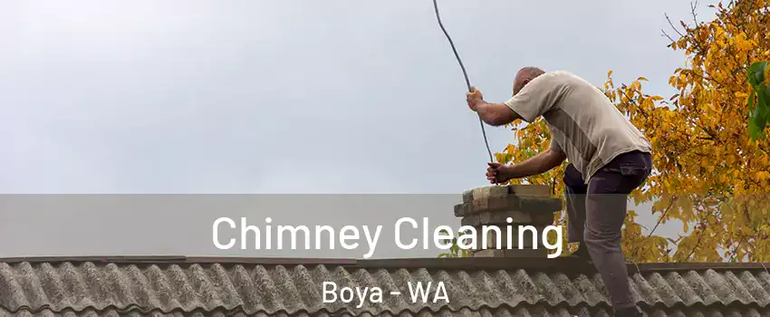 Chimney Cleaning Boya - WA