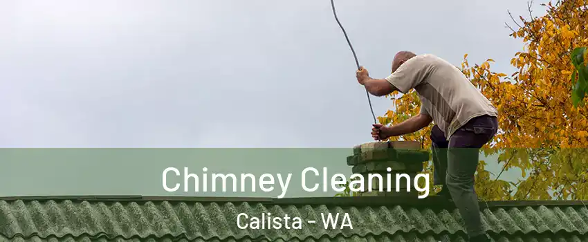 Chimney Cleaning Calista - WA