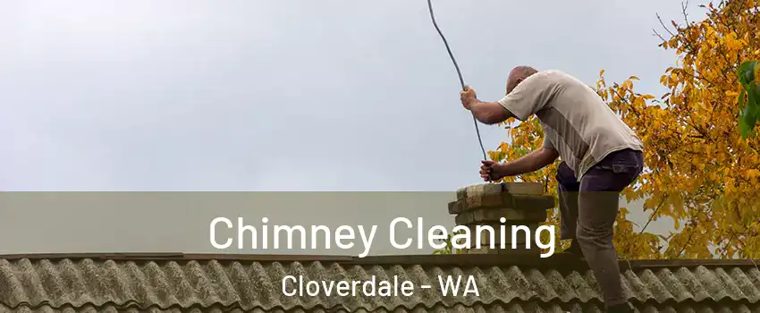 Chimney Cleaning Cloverdale - WA
