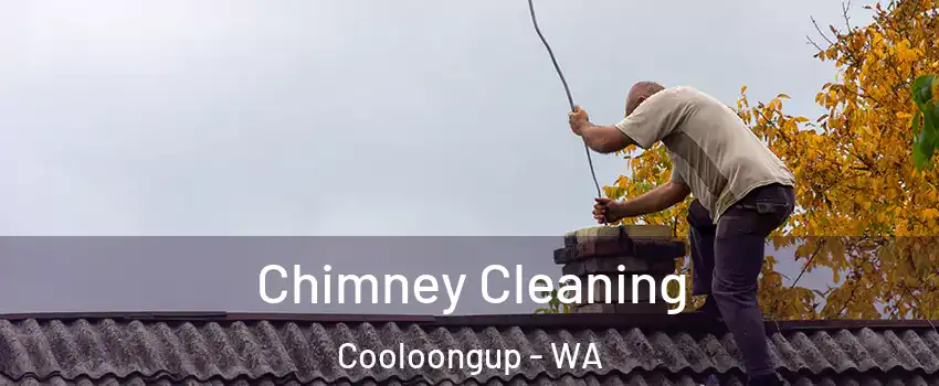 Chimney Cleaning Cooloongup - WA