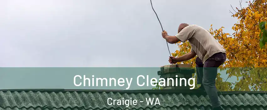 Chimney Cleaning Craigie - WA