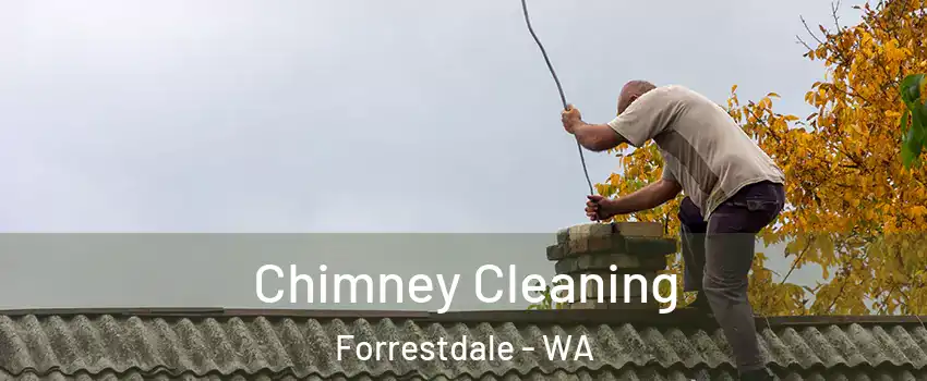 Chimney Cleaning Forrestdale - WA