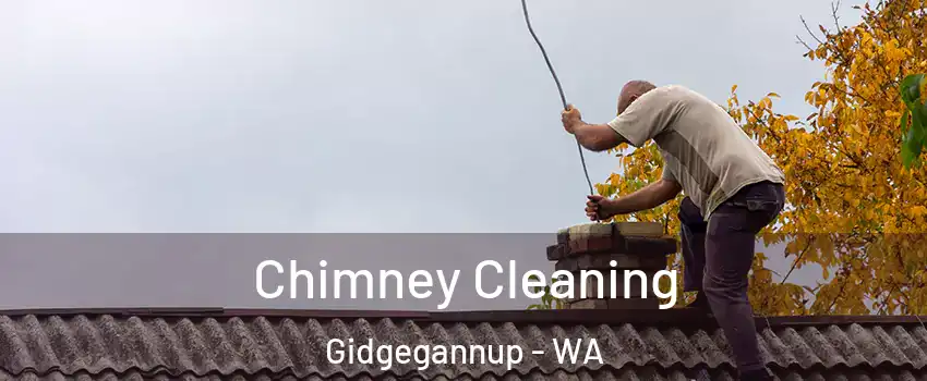 Chimney Cleaning Gidgegannup - WA