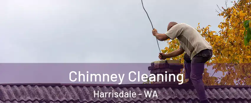 Chimney Cleaning Harrisdale - WA