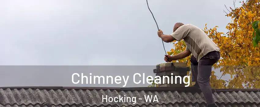 Chimney Cleaning Hocking - WA