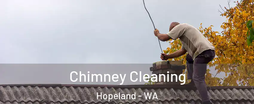 Chimney Cleaning Hopeland - WA