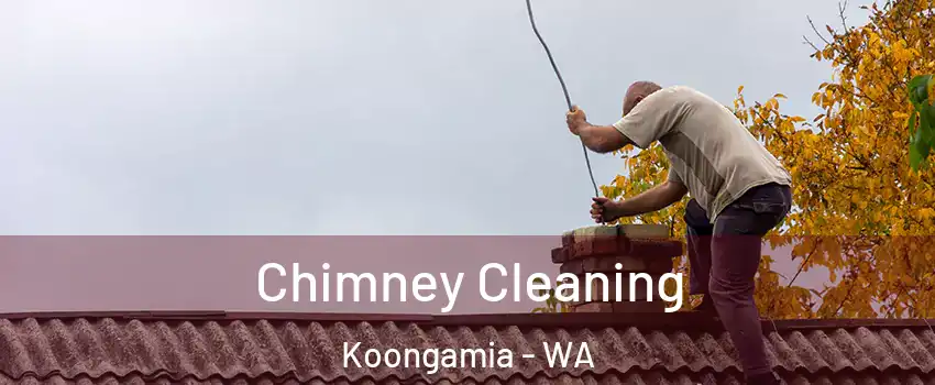 Chimney Cleaning Koongamia - WA