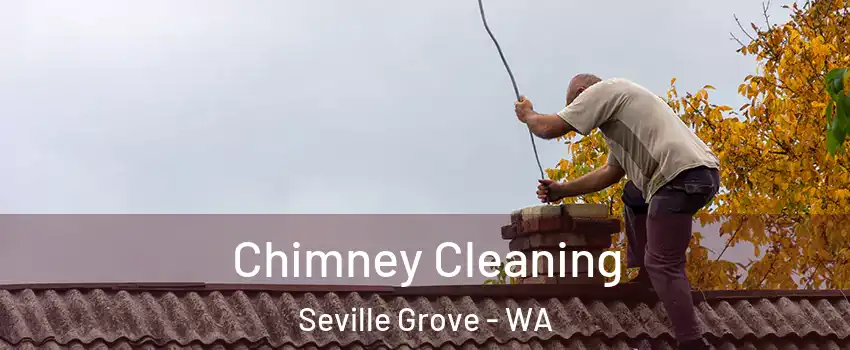 Chimney Cleaning Seville Grove - WA
