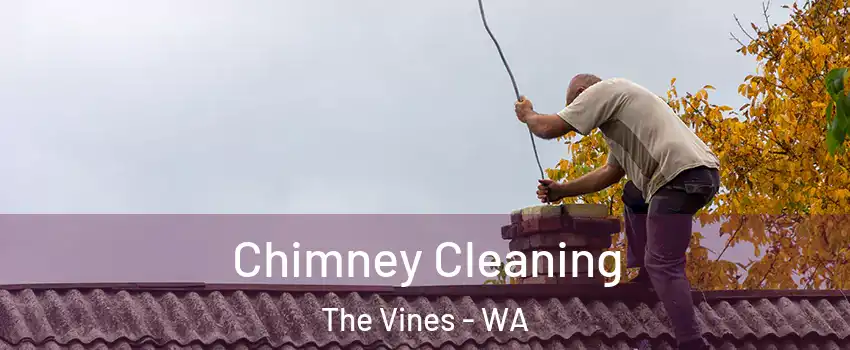 Chimney Cleaning The Vines - WA