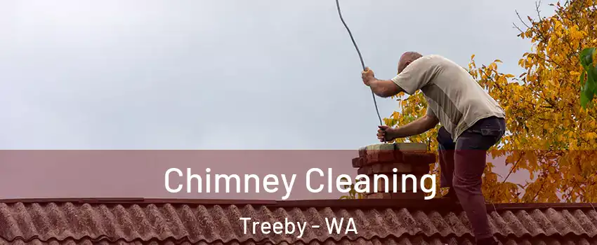 Chimney Cleaning Treeby - WA
