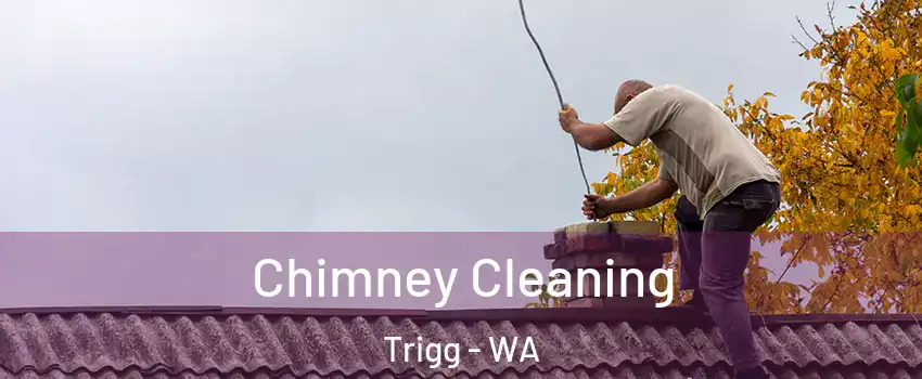 Chimney Cleaning Trigg - WA