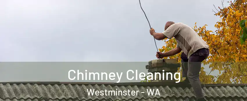 Chimney Cleaning Westminster - WA