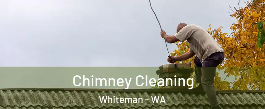 Chimney Cleaning Whiteman - WA