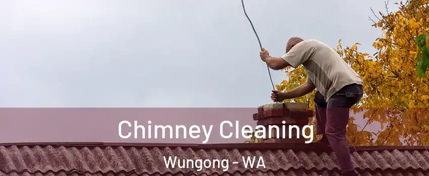 Chimney Cleaning Wungong - WA