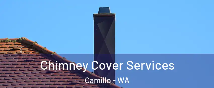 Chimney Cover Services Camillo - WA