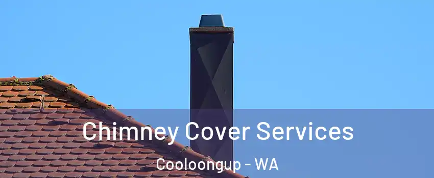 Chimney Cover Services Cooloongup - WA