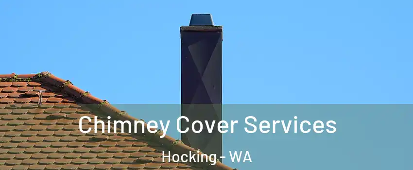 Chimney Cover Services Hocking - WA