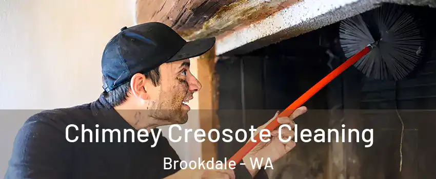 Chimney Creosote Cleaning Brookdale - WA
