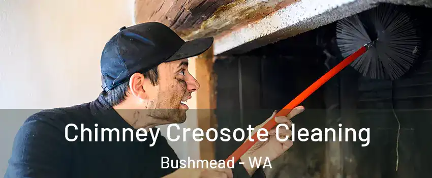 Chimney Creosote Cleaning Bushmead - WA