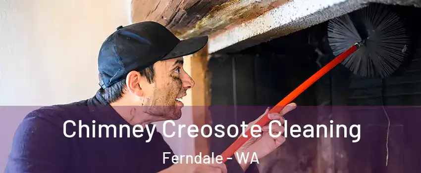 Chimney Creosote Cleaning Ferndale - WA
