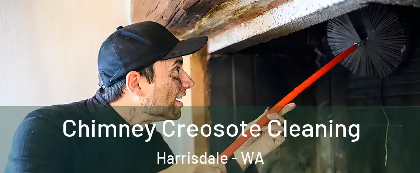 Chimney Creosote Cleaning Harrisdale - WA