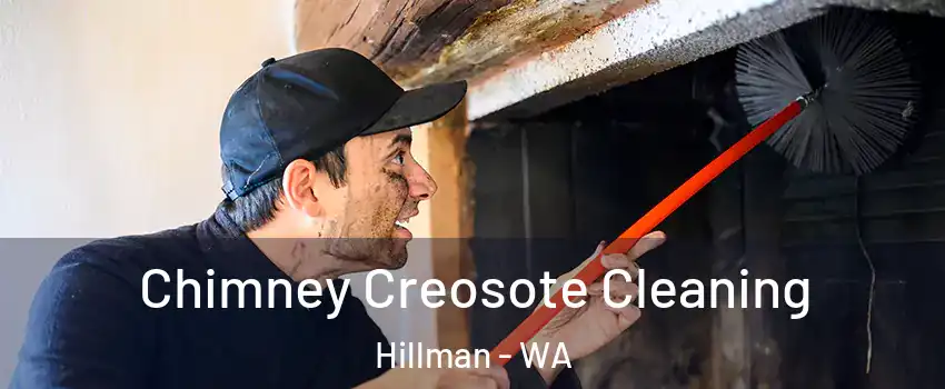 Chimney Creosote Cleaning Hillman - WA