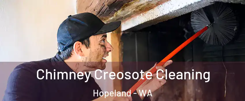 Chimney Creosote Cleaning Hopeland - WA