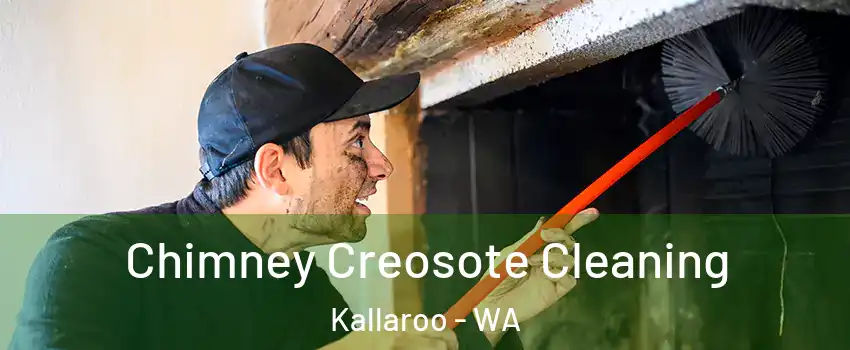 Chimney Creosote Cleaning Kallaroo - WA