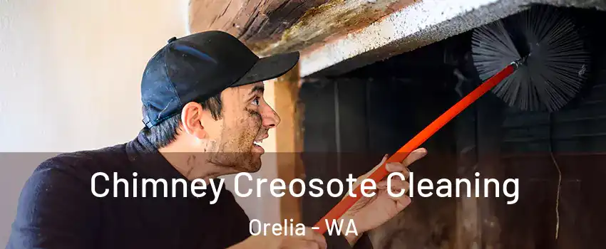 Chimney Creosote Cleaning Orelia - WA