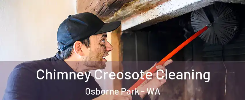Chimney Creosote Cleaning Osborne Park - WA