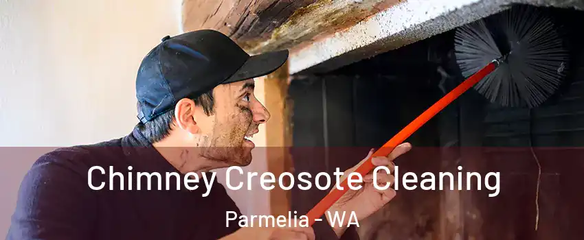 Chimney Creosote Cleaning Parmelia - WA