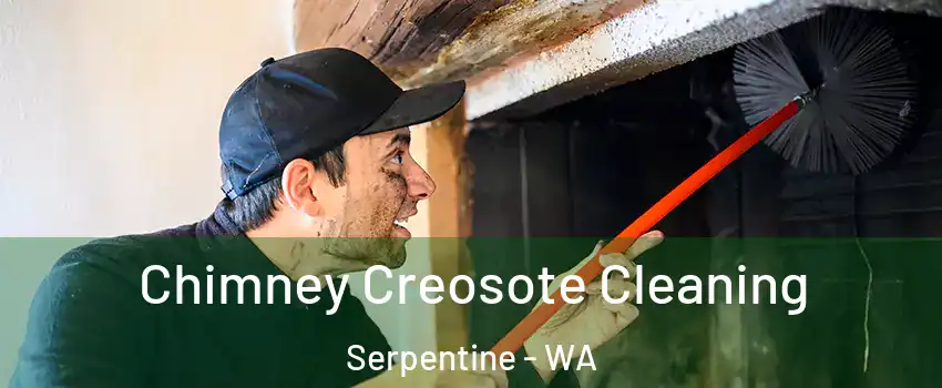 Chimney Creosote Cleaning Serpentine - WA