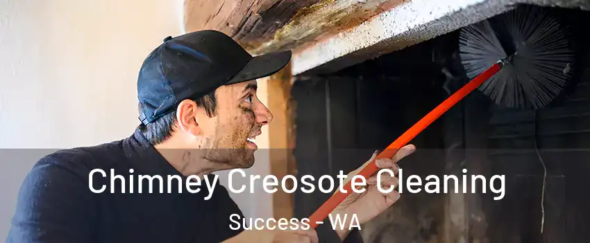 Chimney Creosote Cleaning Success - WA