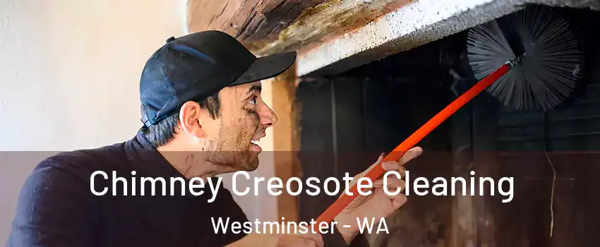 Chimney Creosote Cleaning Westminster - WA