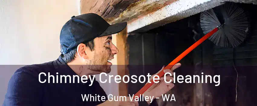 Chimney Creosote Cleaning White Gum Valley - WA