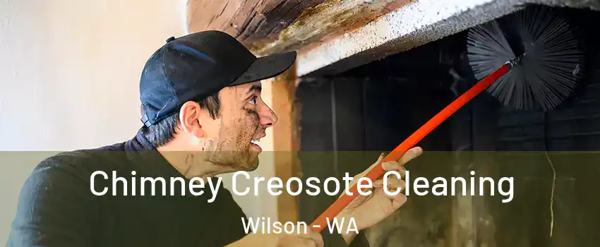 Chimney Creosote Cleaning Wilson - WA