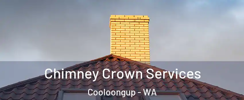 Chimney Crown Services Cooloongup - WA