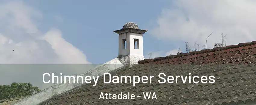Chimney Damper Services Attadale - WA
