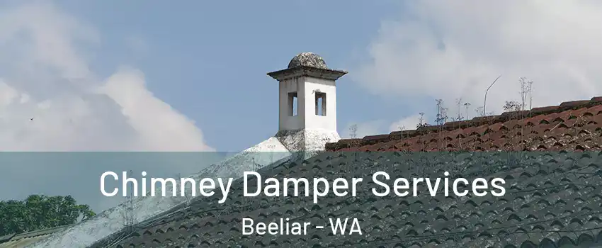 Chimney Damper Services Beeliar - WA