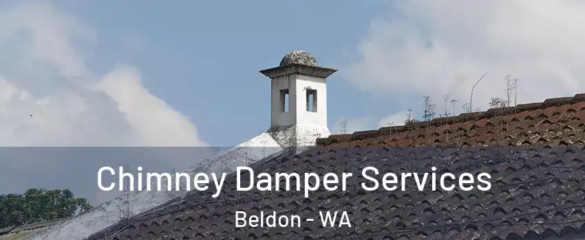 Chimney Damper Services Beldon - WA