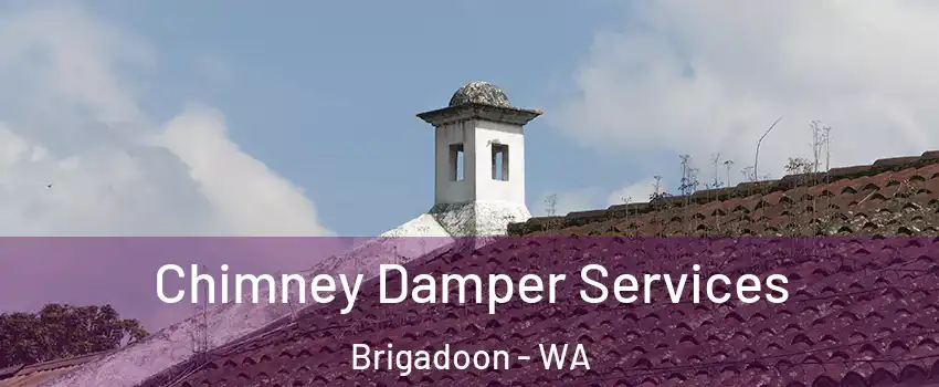 Chimney Damper Services Brigadoon - WA