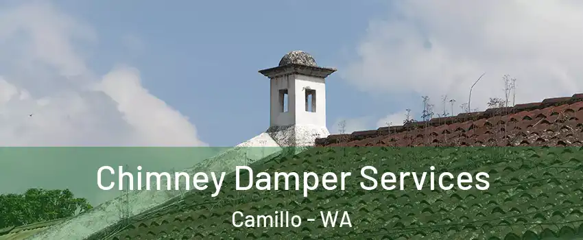 Chimney Damper Services Camillo - WA