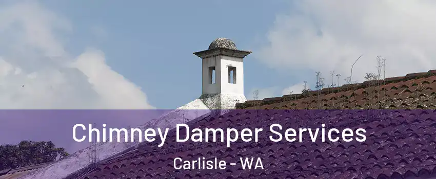 Chimney Damper Services Carlisle - WA