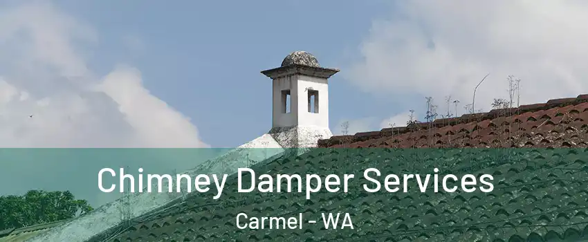 Chimney Damper Services Carmel - WA