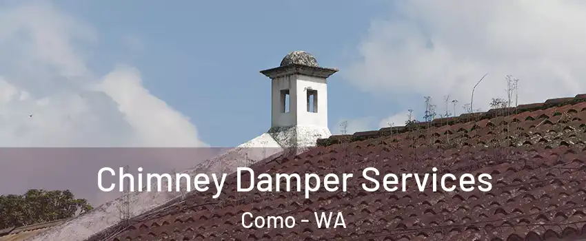 Chimney Damper Services Como - WA