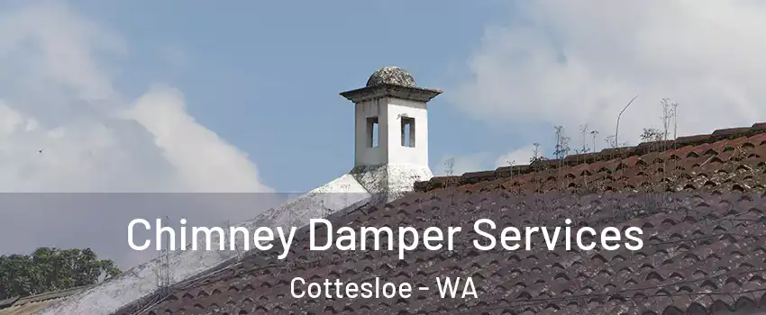 Chimney Damper Services Cottesloe - WA