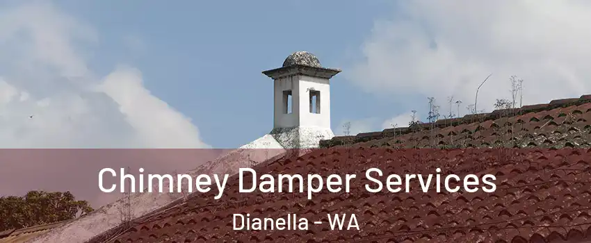 Chimney Damper Services Dianella - WA