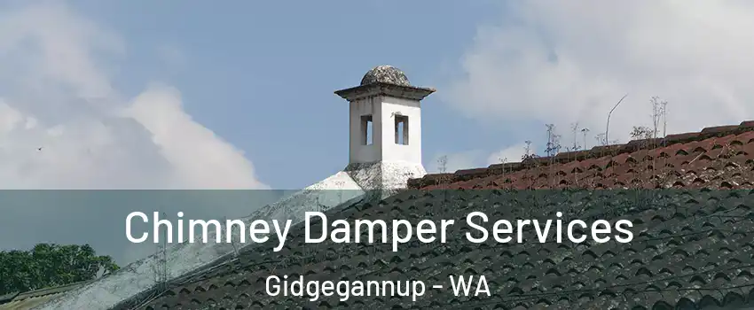 Chimney Damper Services Gidgegannup - WA