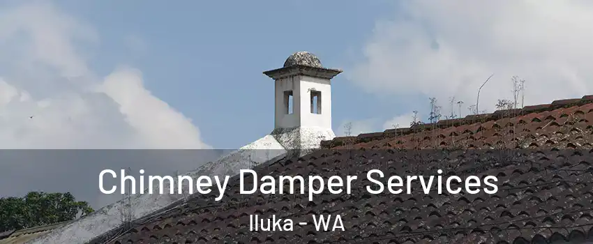 Chimney Damper Services Iluka - WA