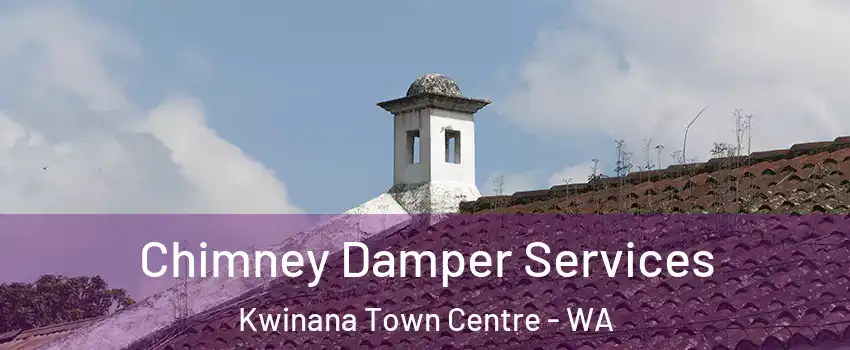 Chimney Damper Services Kwinana Town Centre - WA